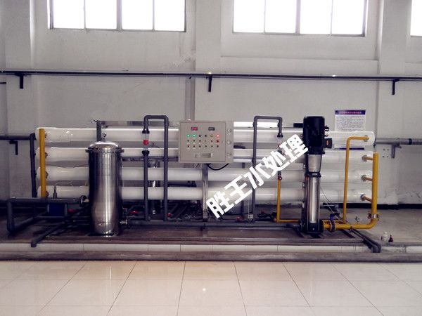 12噸H反滲透水處理設(shè)備.jpg